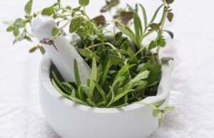 aprilove-bylinky-v-maziariku