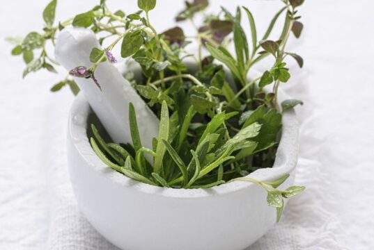 aprilove-bylinky-v-maziariku