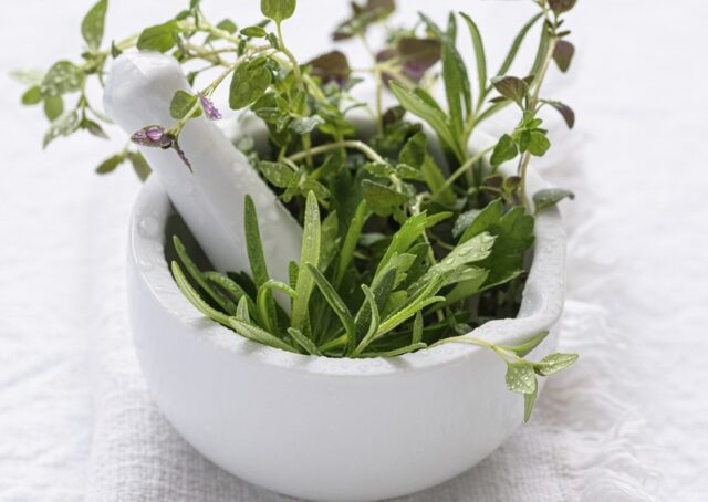 aprilove-bylinky-v-maziariku