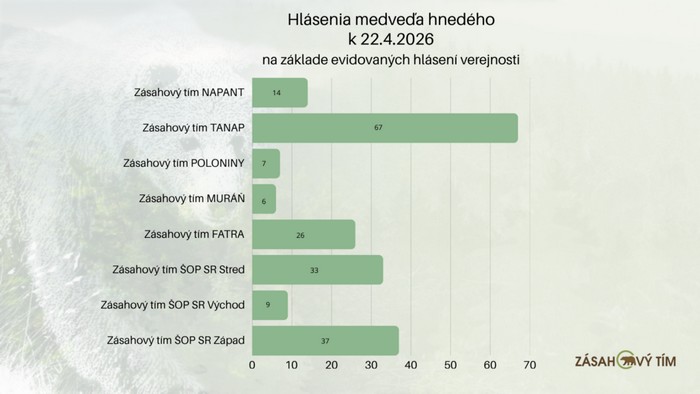 hlasenie-medved-hnedy