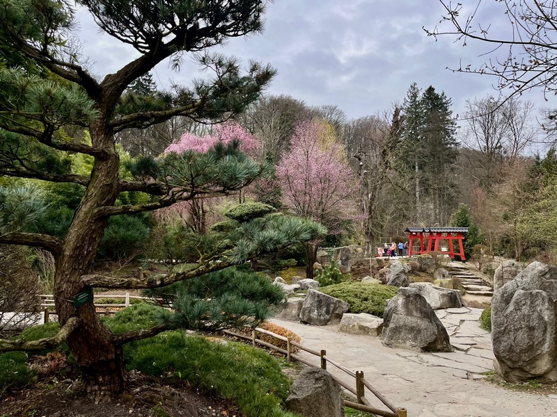 zoo-zlin-japonska-zahrada