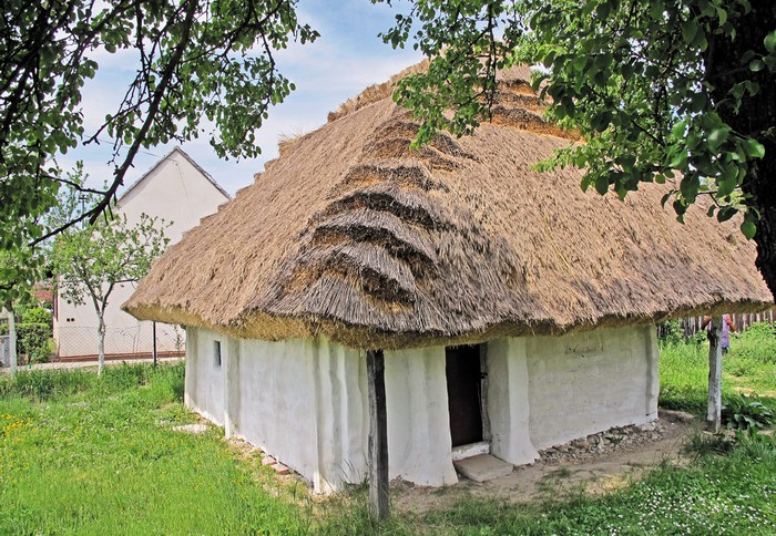 slamenny-domcek-sumorovec-borsky-peter