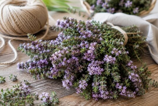 materina-duska-liecenie-sirup-recept