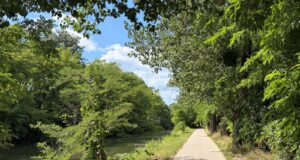 Náučný prírodopisný chodník Čierna voda. Cyklovýlet, ktorý si vychutnáte naucny-prirodopisny-chodnik-cierna-voda.cyklochodnik