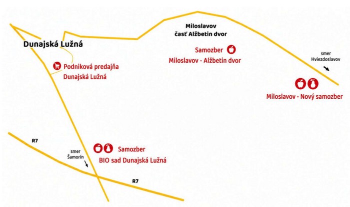 dunajska-luzna-samozber-jablk