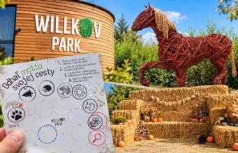 Vŕbové bludisko Willkov park láka na východ Slovenska. Stratiť sa je zábavné! willkov-park-pri-trebisove